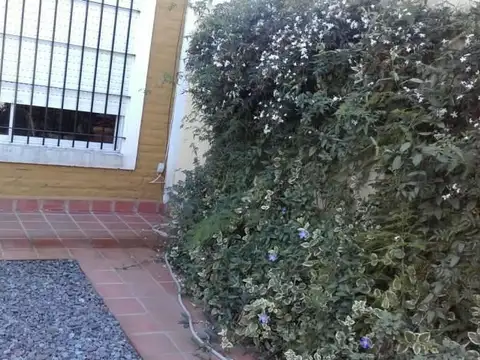 NICARAGUA 100, Piso PB