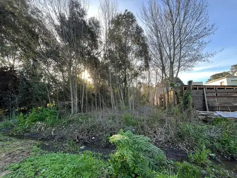 Calle 26 e/ 501 y 503