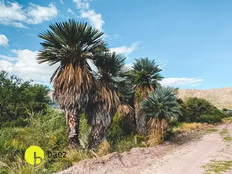 LOTE SOBRE ACCESO DIQUE CORTADERAS