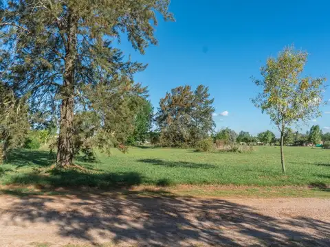 Lote En La Arbolada