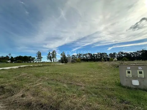 Terreno en Venta de 700,0 m2