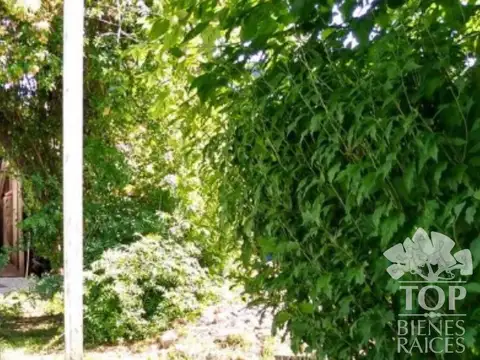 Locales-Casa-Departameto y Depósito-en Venta-Loma Verde-Escobar-Oportunidad