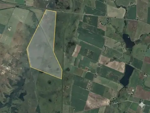 500 HAS MIXTAS EN SANTA FE | APTITUD GANADERA & AGRÍCOLA