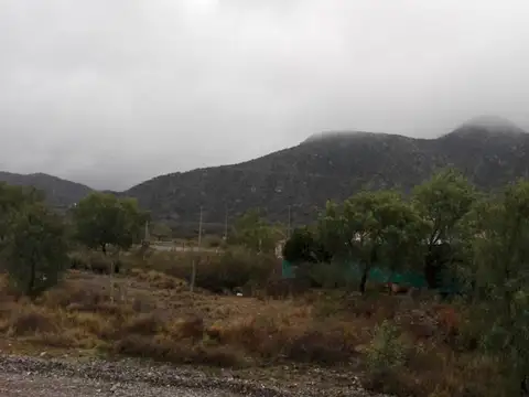 Lote en venta en Mendoza