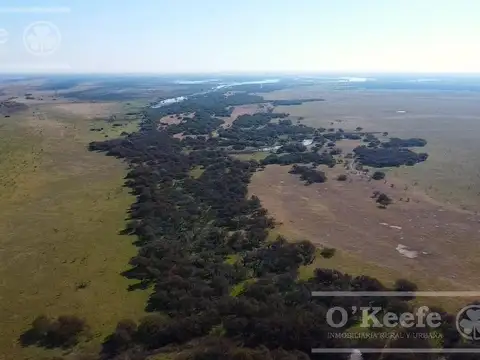 Campo en venta de 13.747 has. Islas de Ibicuy. Entre Rios