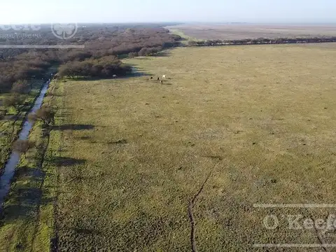 Campo en venta de 13.747 has. Islas de Ibicuy. Entre Rios