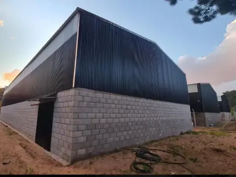 Gaona e/ Madre Teresa de Calcuta y Dante