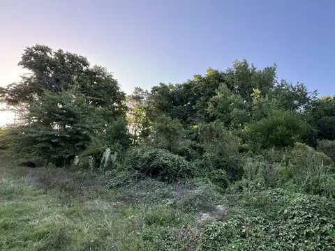 Terreno - Venta - Uruguay, PLAYA BRAVA PUNTA DEL ESTE