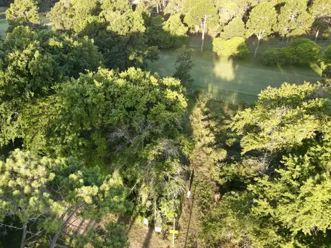 Terreno - Venta - Uruguay, PLAYA BRAVA PUNTA DEL ESTE