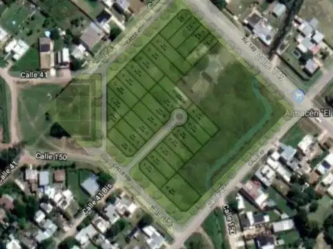 Liquidámbar - 150 e/ 41 y 42