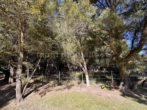 DE LOS ARRAYANES , Piso 20