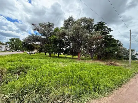 Terreno en Venta 17  mts Frente