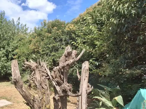 José Ingenieros 1400