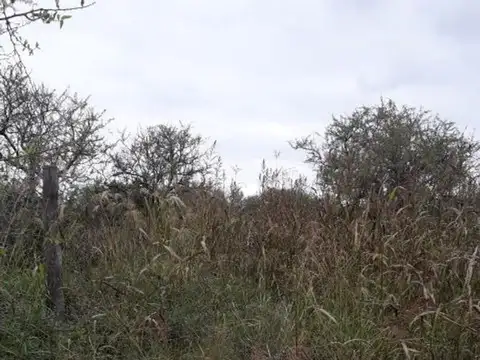 Terreno en Venta en Villa La Bolsa, USD 36.000