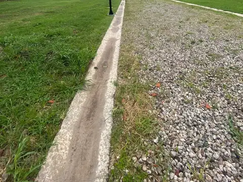 Diag 552 Fray G Butler 1400