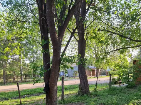 Galpón en alquiler en Ibarlucea