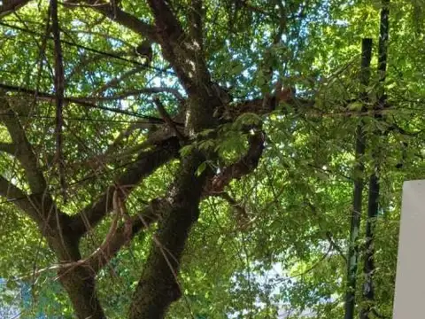 Departamento en Alquiler en La Plata, $ 430.000