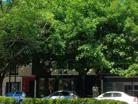 Diagonal 74 1000, Piso 0