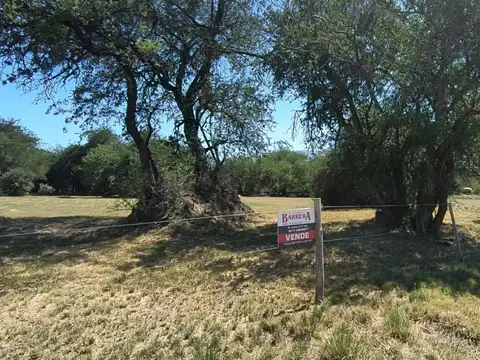 Terreno en Venta de 4203,0 m2