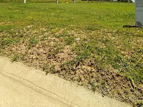 Terreno en Venta en Docta, USD 38.000