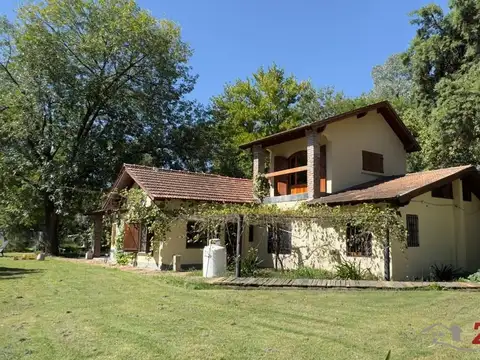 Constituyentes  al 3000