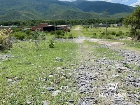 Terreno en Venta 10  mts Fondo