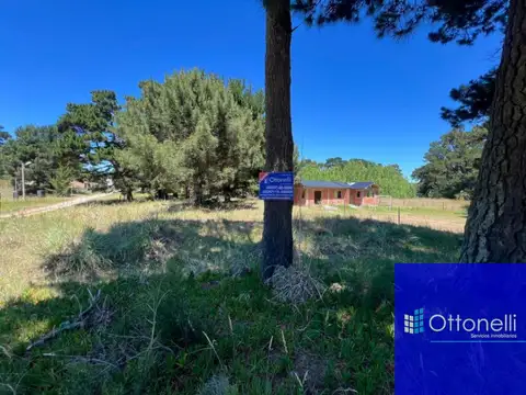 jujuy y av 1 el pinar