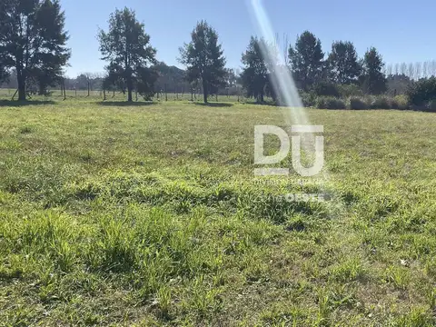 Terreno en Venta 40  mts Frente