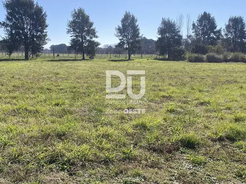 Terreno en Venta 50  mts Fondo