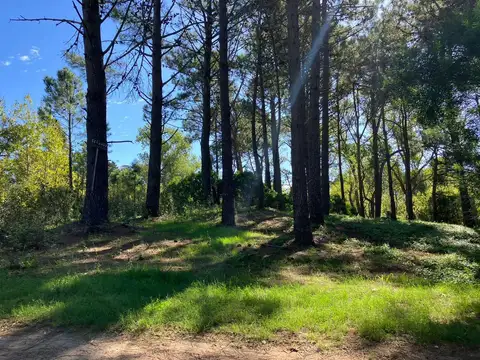 Terreno en Venta en Mar de las Pampas, USD 34.000