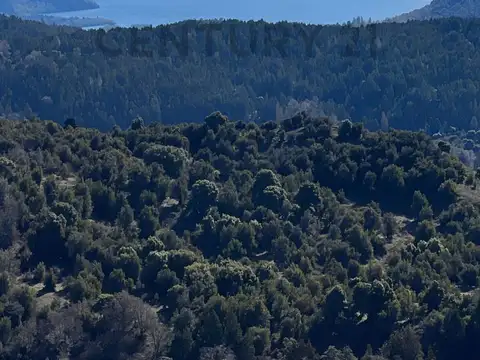 Terreno en Venta de 5000,0 m2