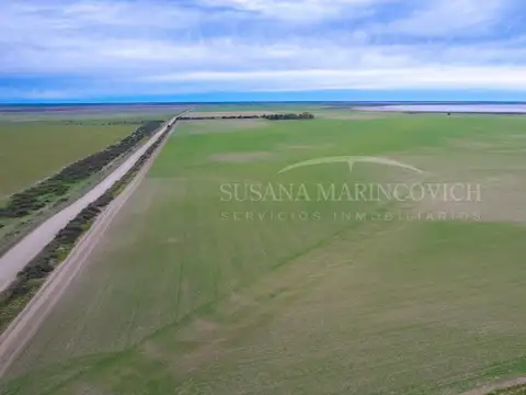 Campo en venta en Carmen de Patagones