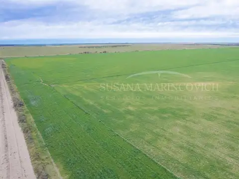 Campo en venta de 2724ha Carmen de Patagones