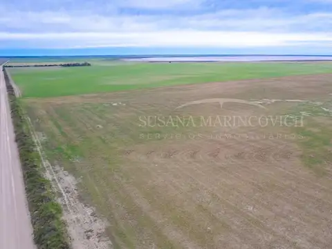 Campo en venta de 2724ha Carmen de Patagones