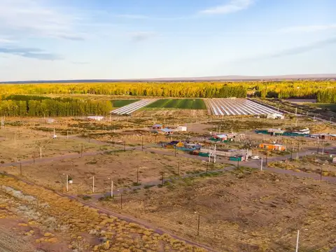 Terreno en Venta en Plottier, USD 15.000