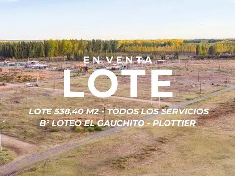 VENTA LOTE EN LOTEO EL GAUCHITO PLOTTIER