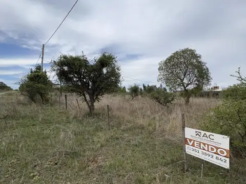 Terreno en Venta 40  mts Fondo