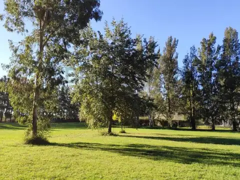 Ruta 2 Km 65, Club de Campo y Spa Miralagos II. Lote en venta