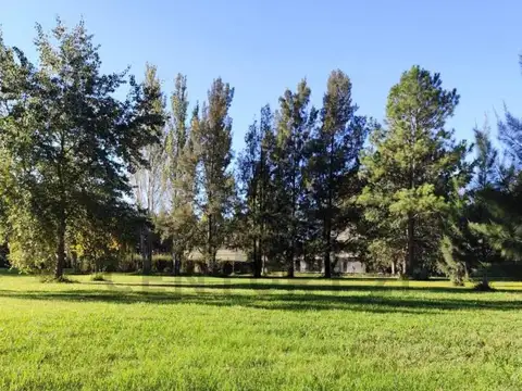 Terreno en Venta 61  mts Fondo