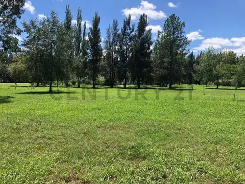 Terreno en Venta en Lisandro Olmos Etcheverry, USD 46.000