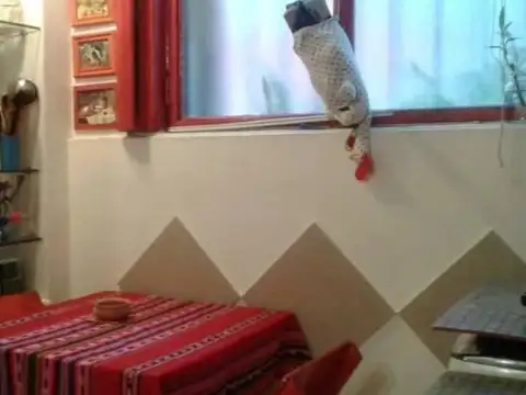 Rodríguez Peña 200, Piso PB