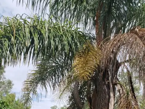 Campo - Venta - Argentina, Theobald - ruta 90 km 13