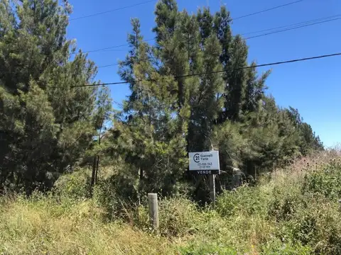 Lote en Venta en Los Talas, Berisso