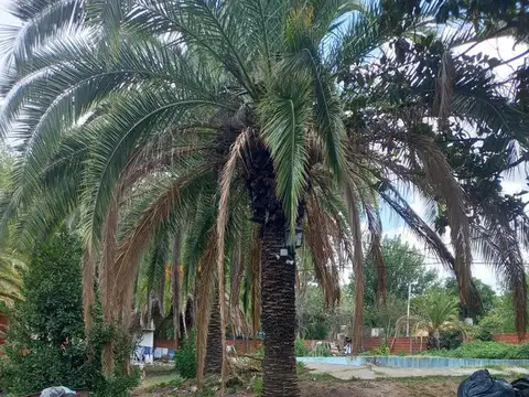 (KM 40) Guarda vieja  5649 entre  Manzanares y Colorado