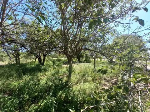 VENTA DE TERRENO VILLA DE LA QUEBRADA