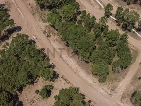 AV SHAW Y AV DEL OLIMPO , Piso 0