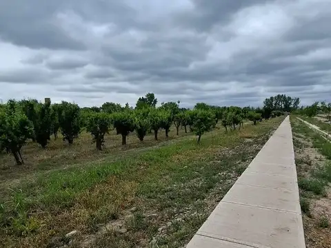 Terreno en Venta de 460,0 m2