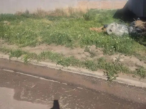 Venta Lote Rincon Lindo Ii - Lago Espejo