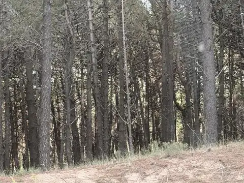 Terreno en Venta de 1080,0 m2