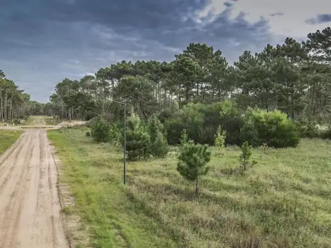 Terreno en venta - 1.096Mts2 - Pinamar